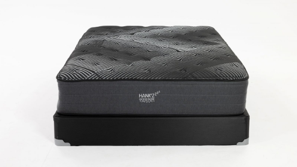 Picture of Tru Ice Plush Twin Mattresses
